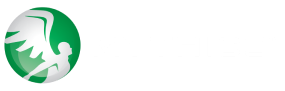 Mythics Knowledge Base